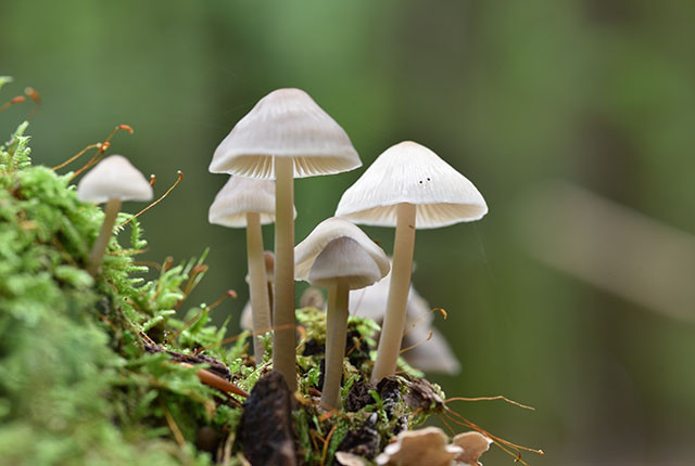 d8ae6ea1ebc388effefe9c0d6b85c77307f9792e939f1ee0b1d7ee1741fc6346.jpg