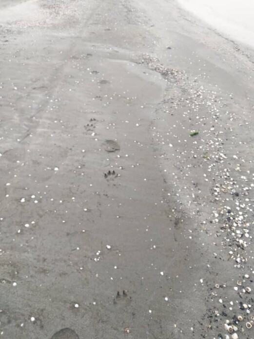 Discovering Mysterious Footprints While Running on The Beach