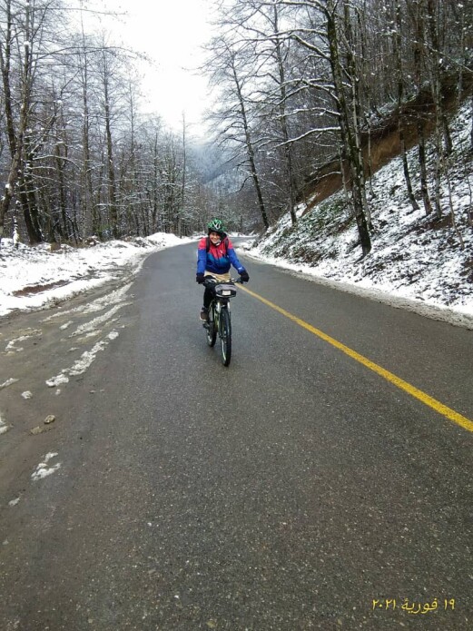 The Maze of Mountain Roads Towards the Snow-Covered Trees (2)