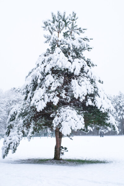 28889b5a71c85e8409dd9d9b416ad482676d4e5cd5ac7553ca5fe62c4d81cacd.jpeg
