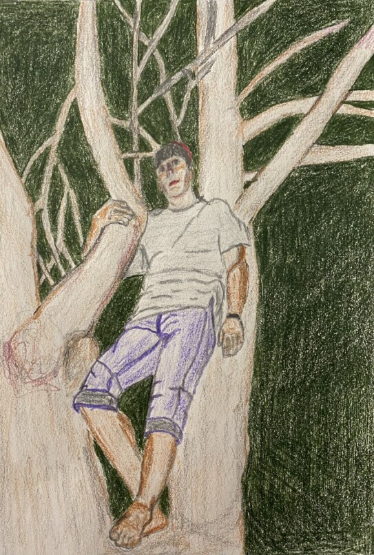 Self portrait of younger me up a tree - colored pencils