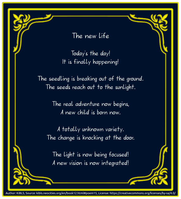 The new life
