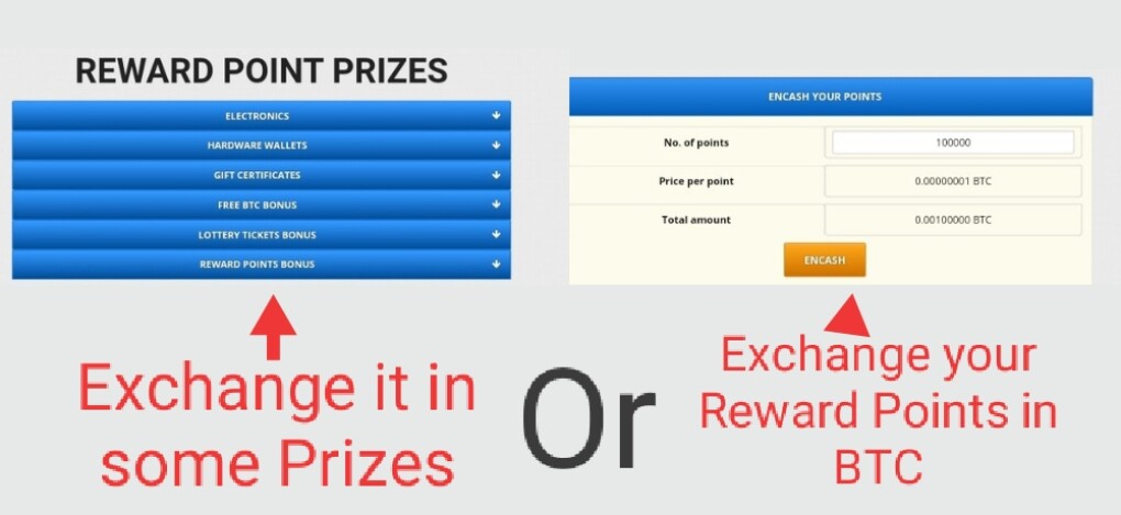 REWARD POINTS