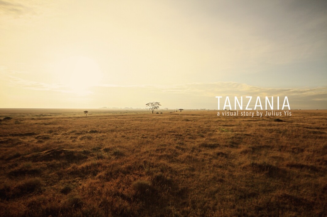 Serengeti plain in Tanzania