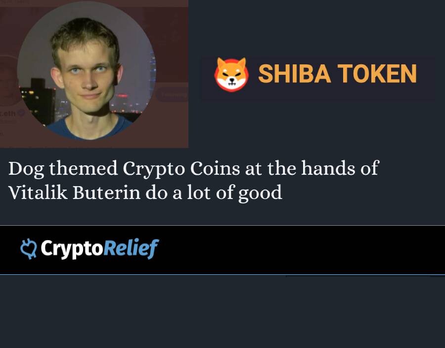 crypto donation, doge, vitalikbuterin