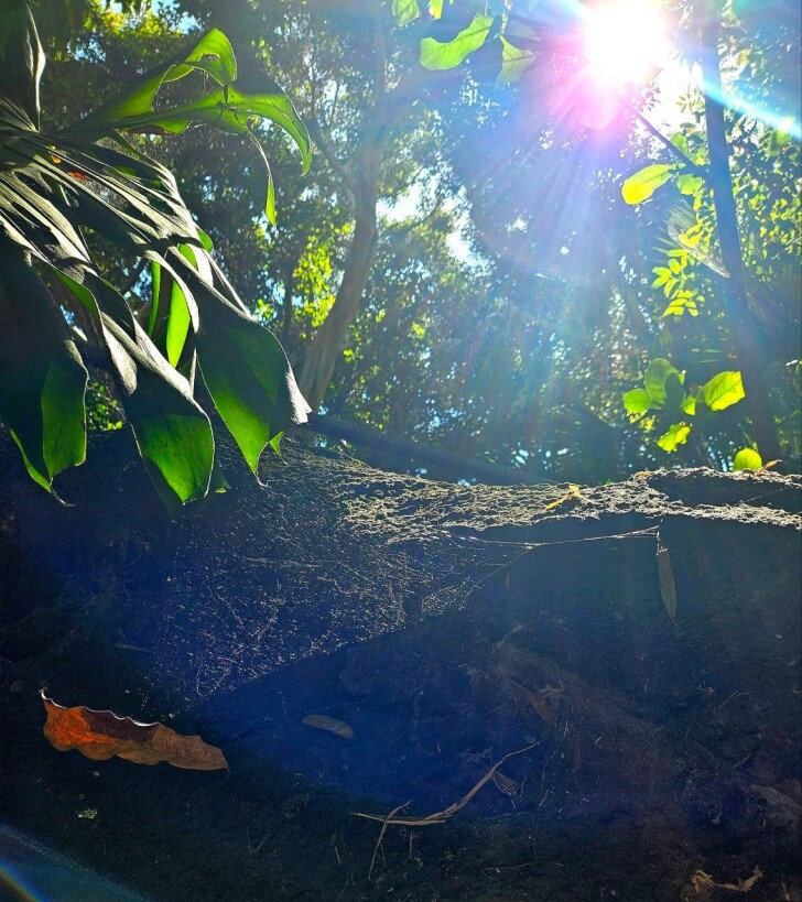 San Diego Zoo