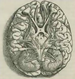 351665157-a7a2af811a738a987a66a61ade214876be4f60ab37d589f72d3f946424985192.jpeg