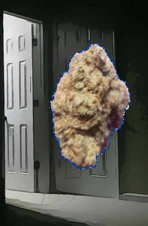 OG BUD FACE Insomnia