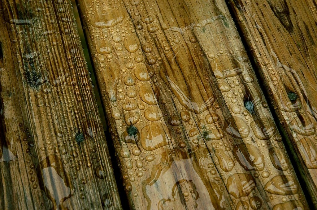 Wet Wood Still Burns.