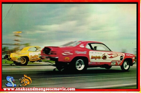 Snake and Mongoose Drag Racing