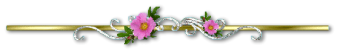26c39d847d68edb7c0e7c16b1788a32fb3ebebb10dd190e0f9f49be3692cabb3.png
