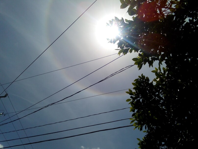 Halo