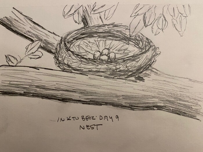 Nest with four eggs on a forked tree branch - pencil