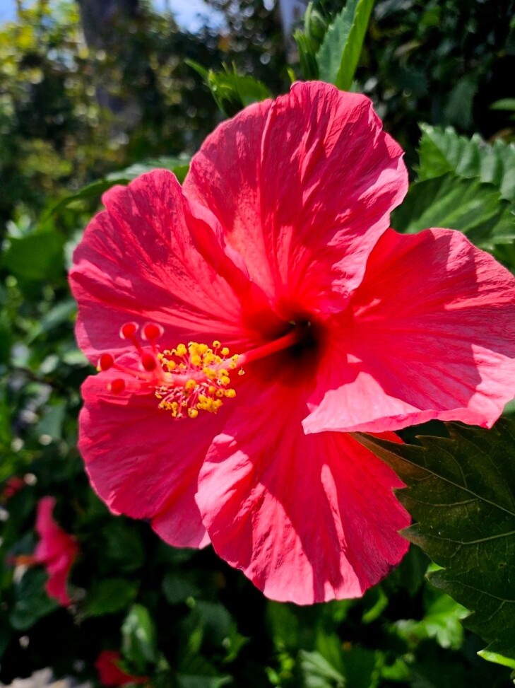 San Diego Zoo