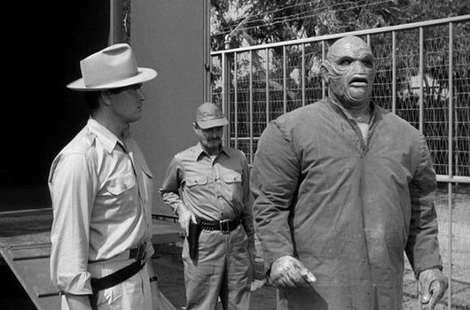 Tough look for the Creature from the Black Lagoon.