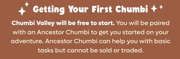 Getting Your First Chumbi