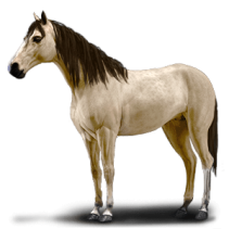 1bf1cc8aab3729493c7df5c96dce40fc38f82bc50cab26aa0ebfe6fa18b477a7.png