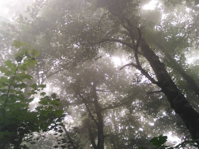 Mountain village of “Asalem” in Talesh- Iran – Through the Haze