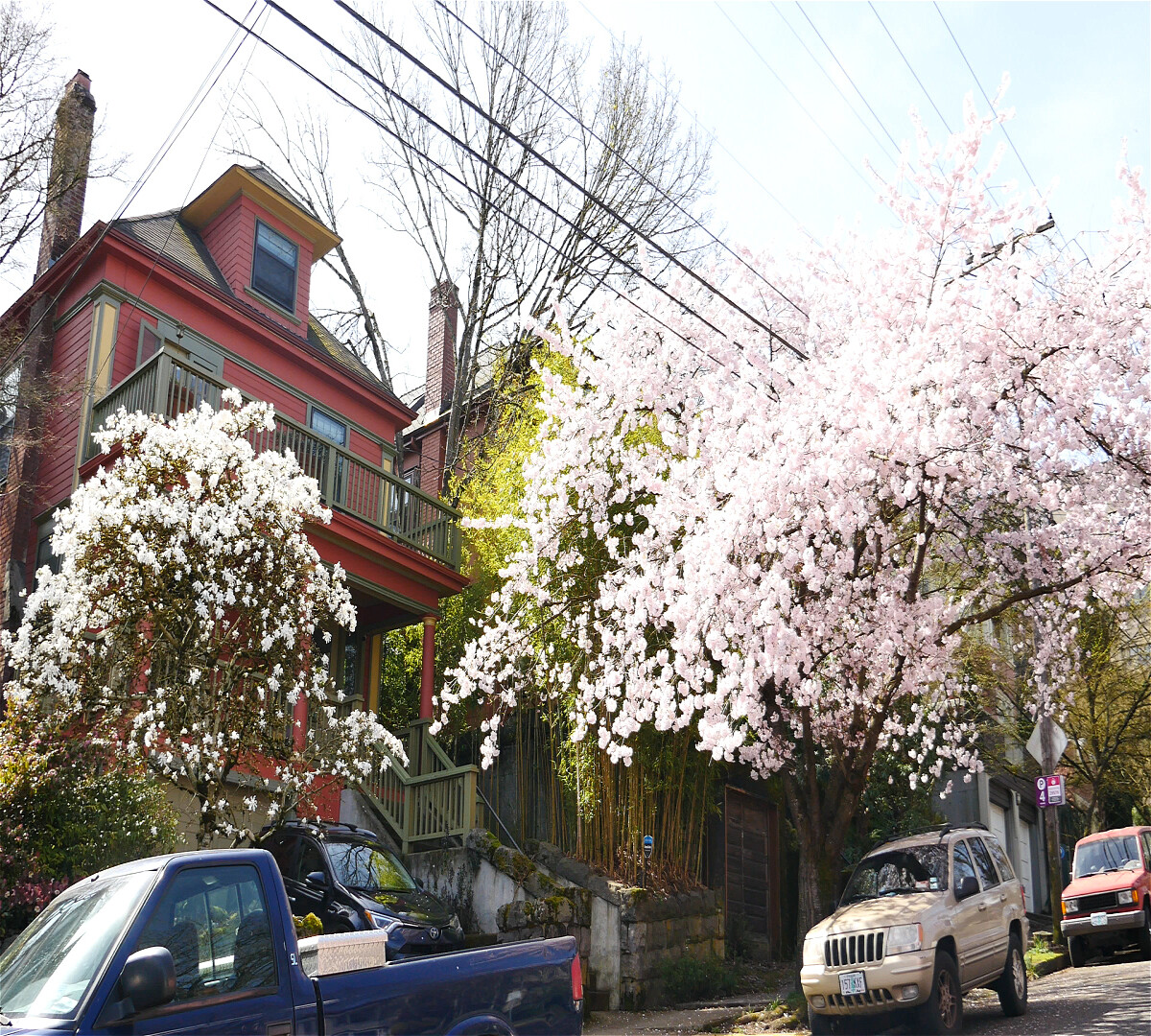Spring Is Here!