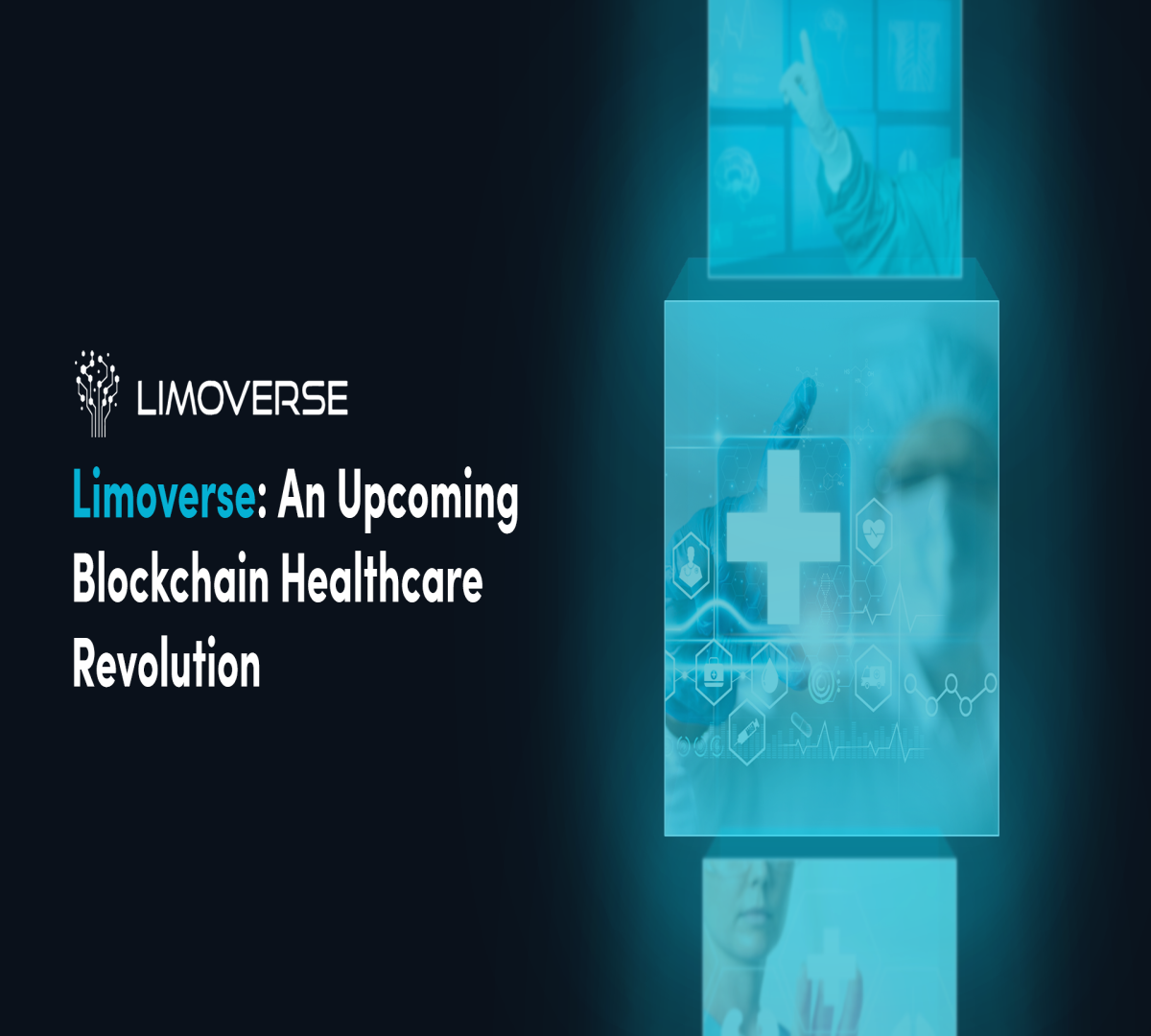 Limoverse a blockchain for healthcare industry