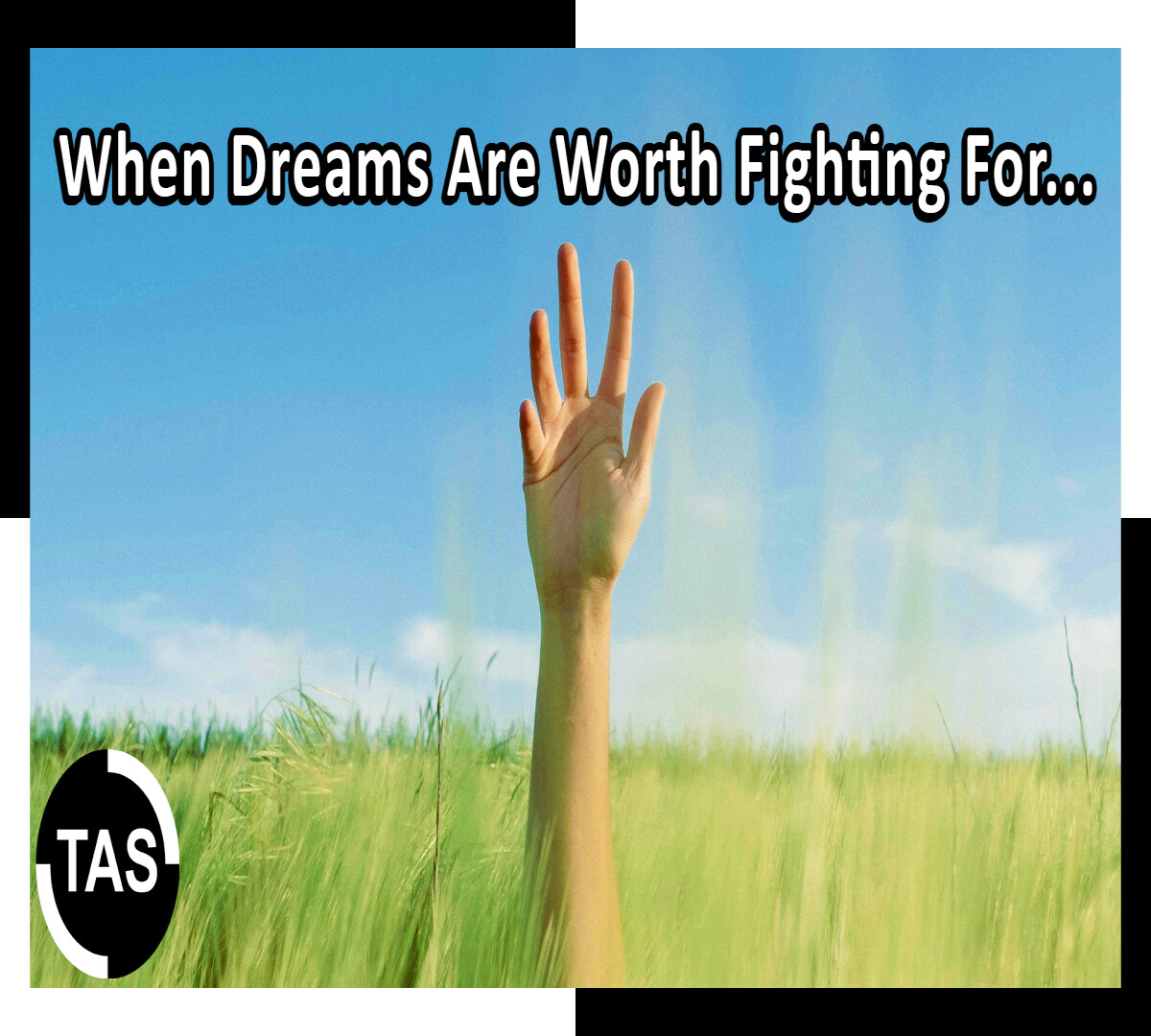 💎When Dreams Are Worth Fighting For...