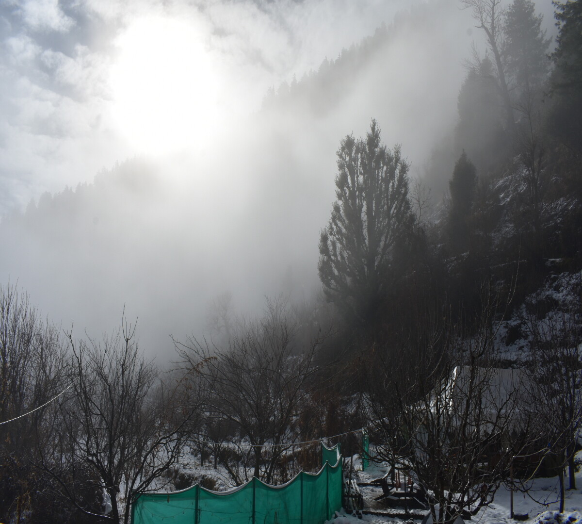 Sunlight trying to surpass the mist and reach the soil ..!!