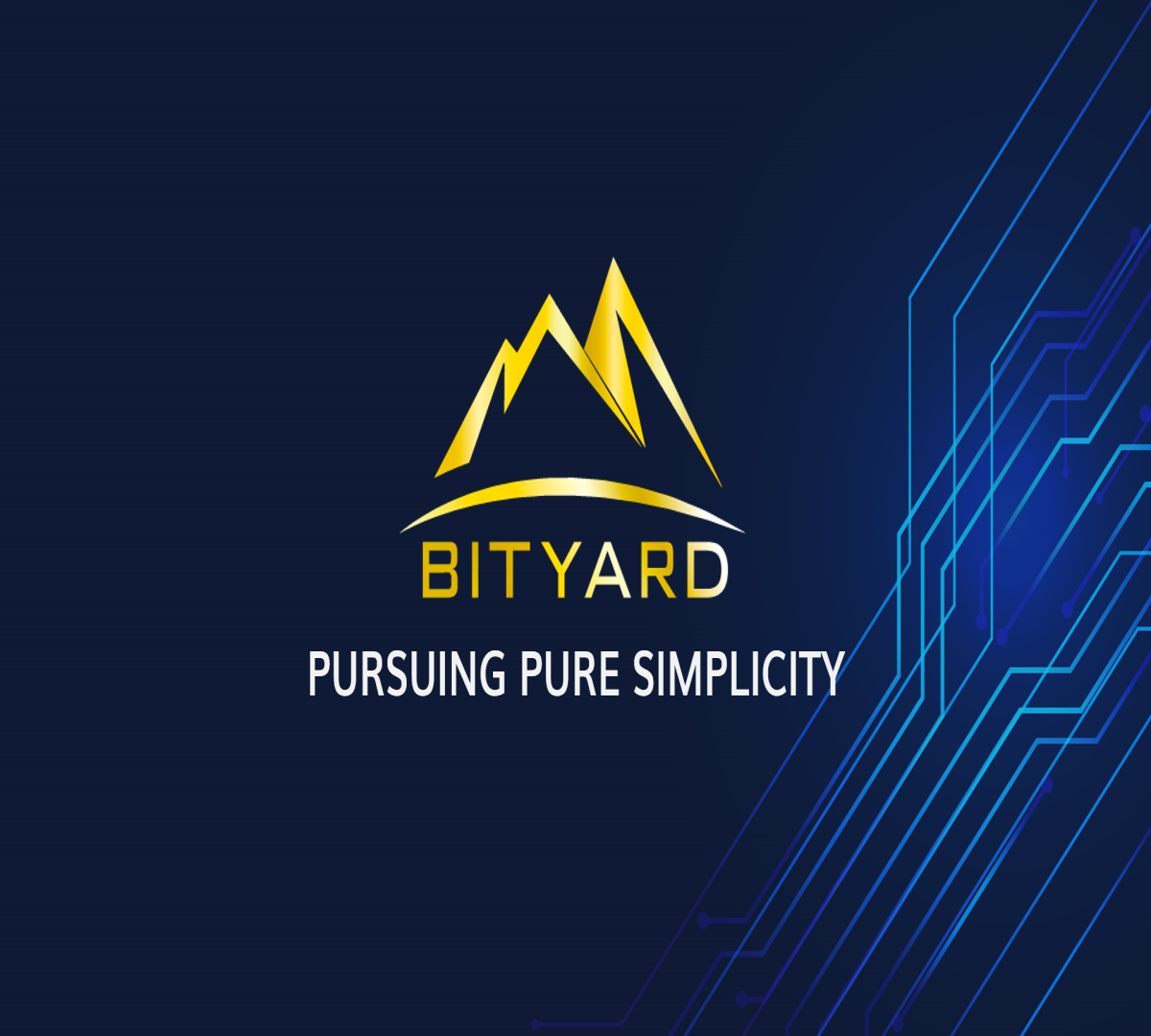 Bityard Pursuing Pure Simplicity