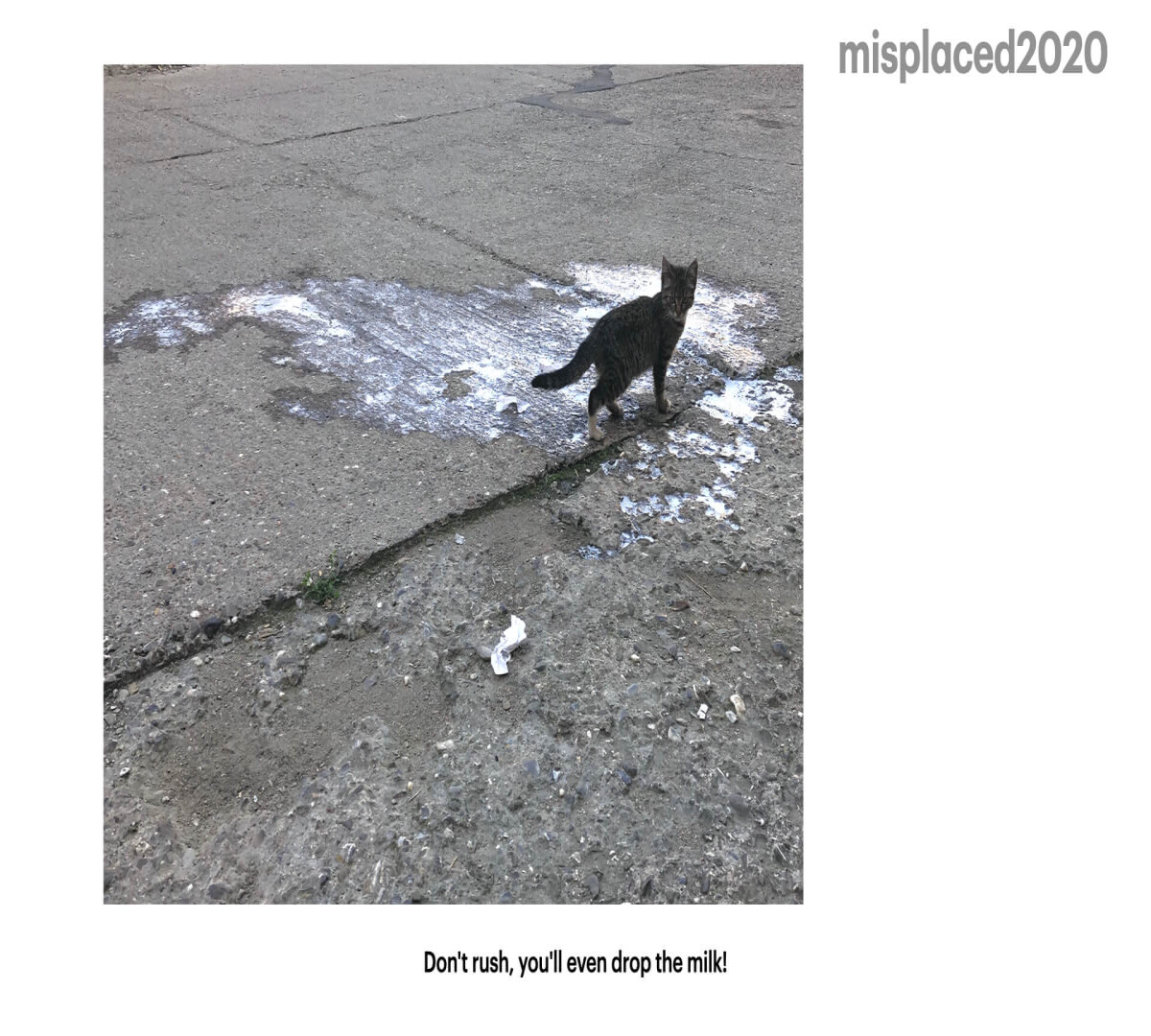 b5e05b063dd437e7962d7c66be1cd38f728194c82efa1186fb71c16f4c23aed8.jpeg
