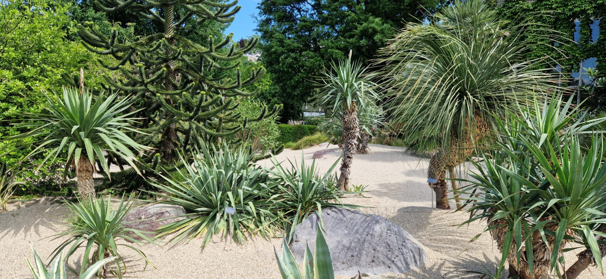 Municipal Horticultural Center Zurich Tropical