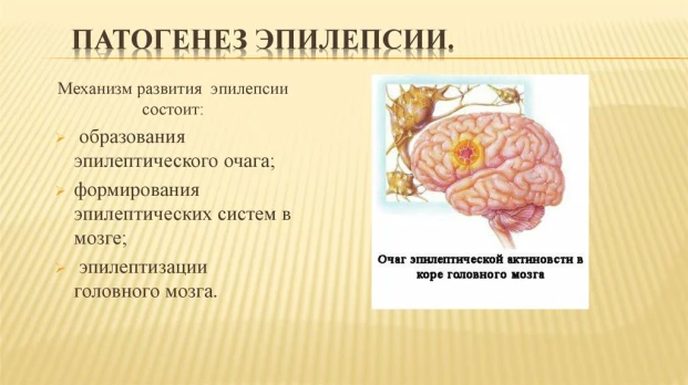 e488976cb74f06fa08a073473fb2d254f273553ae5e4e377ccc08f74185ac193.jpg