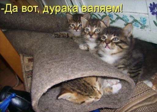 daec6e2cf4fdbf14de5f1f015086b4ba5f3d42ef3b599718766a408c496fd44c.jpg