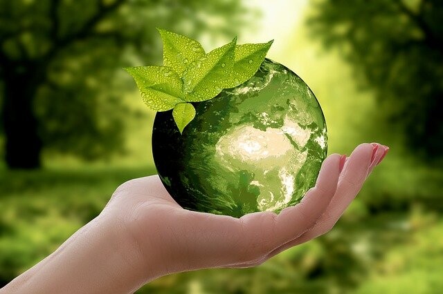 nature, planet, environment, sustainability