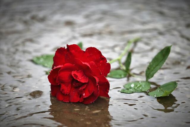 b0333f1381c5c1bc66a5803758693af8341df30d6e318faae765d01d9fc7bc05.jpg