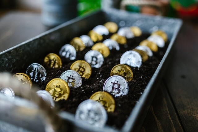 Photo by RDNE Stock project: https://www.pexels.com/photo/selective-focus-photo-of-silver-and-gold-bitcoins-8369687/