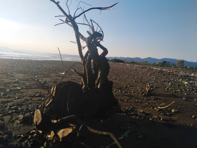 Cycling by The Beach in Iran, flood, nature,