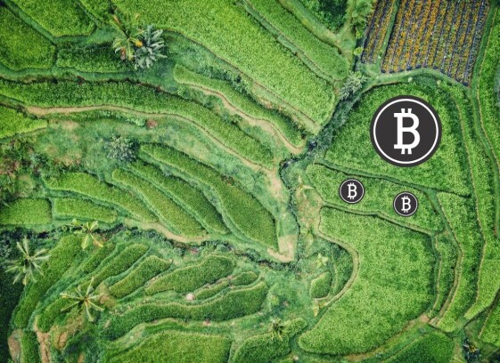 This is BTC Garden, one of my keys to passive crypto income.