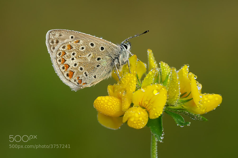 2ac9b580d65ae5611a4b578a1c2dcc287e0b2fd3ab3b738ce66c606982d70266.jpeg