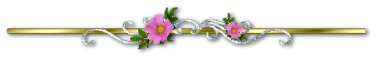 26c39d847d68edb7c0e7c16b1788a32fb3ebebb10dd190e0f9f49be3692cabb3.png