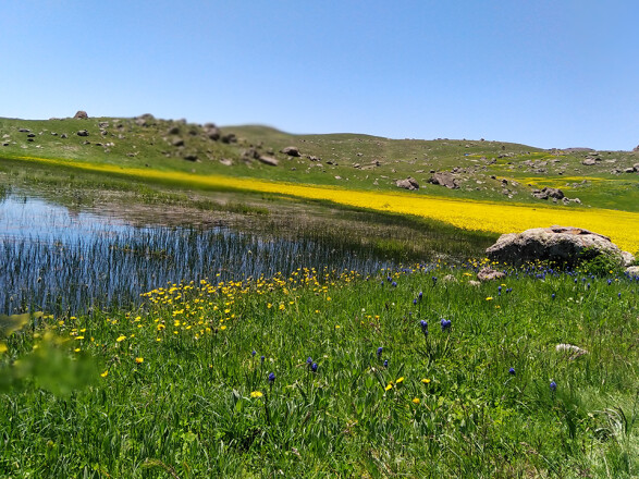 Charming Pond in The Highest Mountain of Talesh, Guilan, Iran