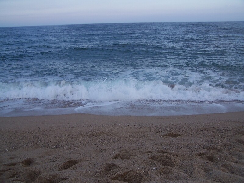 42f64d3e54094ed05ec8ccf554b74793721e58f3b67822def292e3822de20596.jpeg