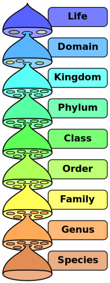 351665157-9ade5dabec0f326023e9bf0e778c6c0d2d1a93221f323454a23f99dc4307bf95.png