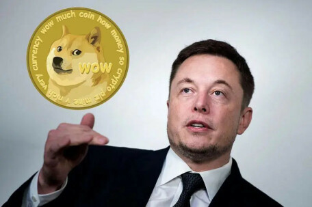 Elon Musk and Dogecoin
