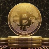 What Will Be The Future Of Bitcoin