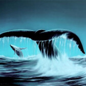 WhaleTailMining
