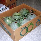 World's Most Expensive Fruit
