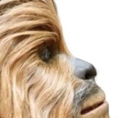 lowededwookie