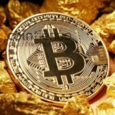 VNbitcoinsucceed