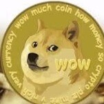 most legit doge investment Web site, paying site,