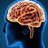 DrMind