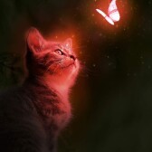 Shine